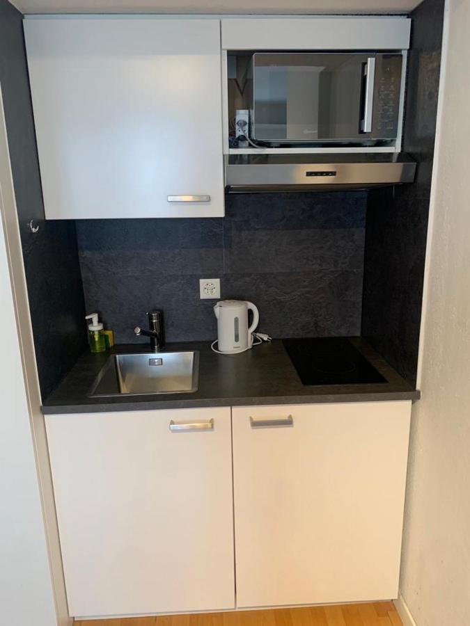 Cozy Studio Apartment Unit 11 In Center Of Zürich Kültér fotó